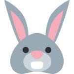 🐰