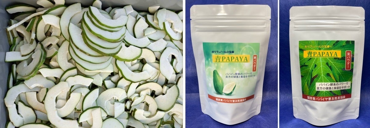 稼げる新農業に挑戦‼「青パパイヤ栽培」6次産業の展開で健康食品業界に