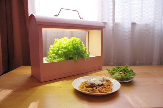 室内で野菜やお花を育むインテリア「LED植物水耕栽培器 Akarina