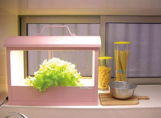 室内で野菜やお花を育むインテリア「LED植物水耕栽培器 Akarina 