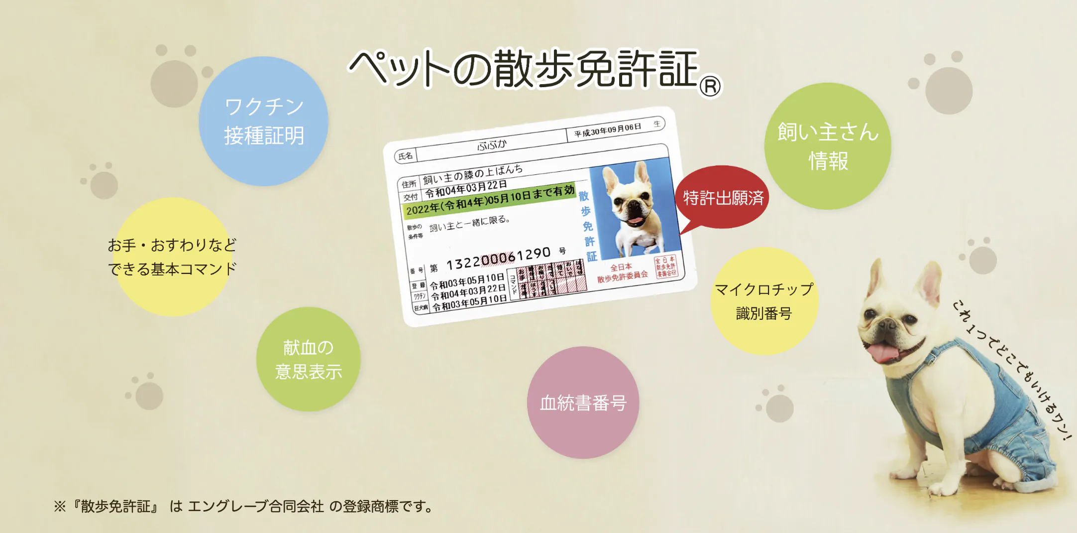 散歩許可証 で ペットとの暮らしをもっと快適に 家族をもっと笑顔に Campfire キャンプファイヤー 散歩許可証 で ペットとの暮らしをもっと快適に 家族をもっと笑顔に Campfire キャンプファイヤー