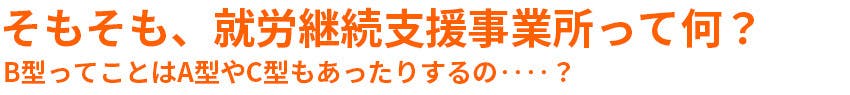 そもそも、就労継続支援事業所ってなに？B型ってことはA型やC型もあったりするの？