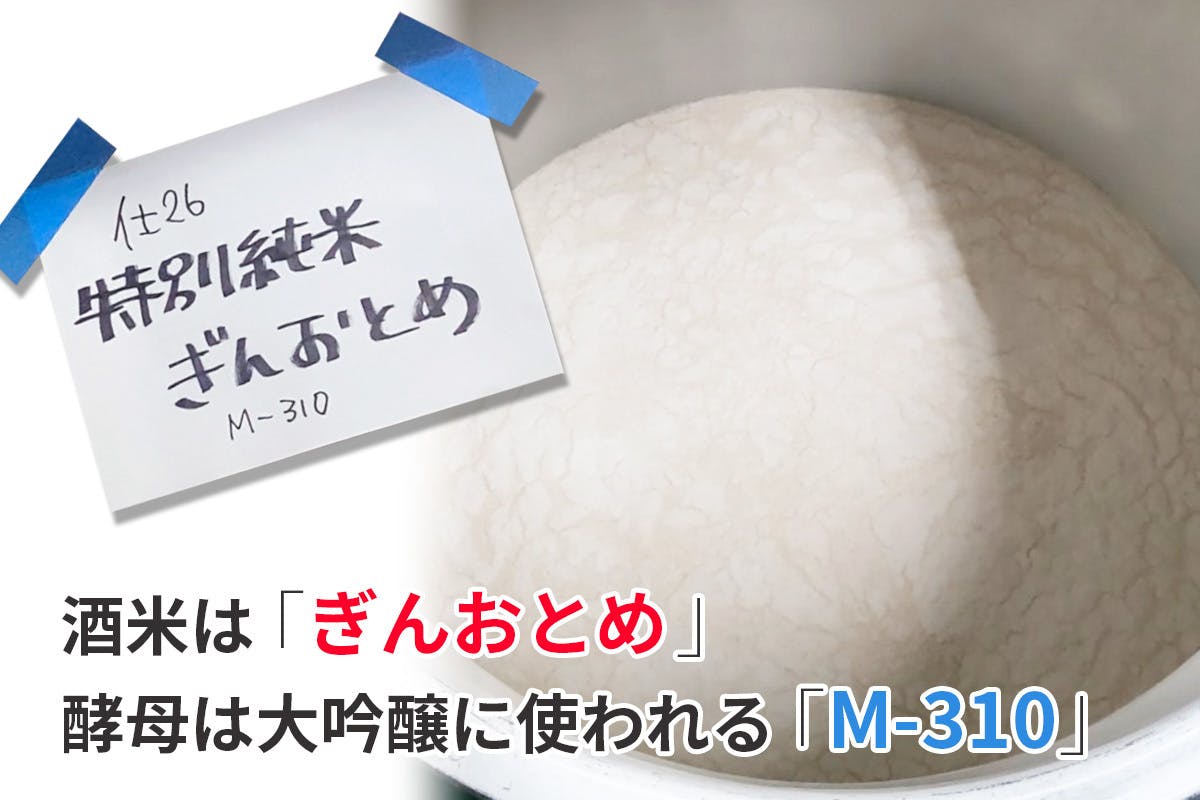 酒米は「ぎんおとめ」酵母は大吟醸い使われる「M-310」です。