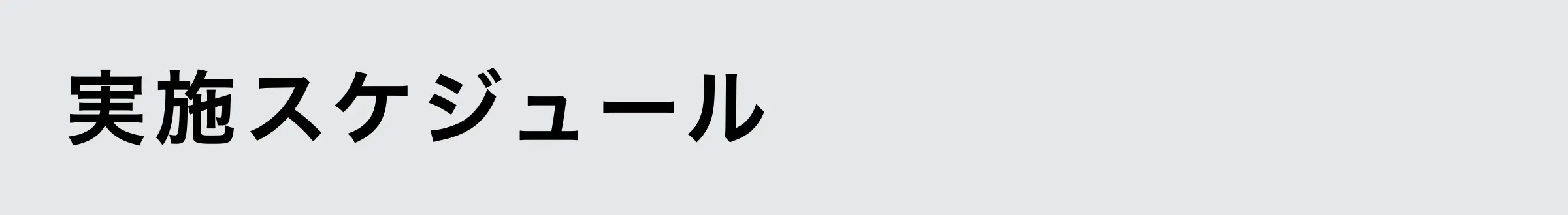 実施スケジュール