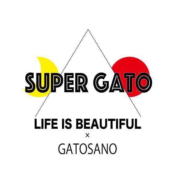 裏原宿で伝説を築いたアートカフェgatosanoが ベトナムの世界遺産に復活 Campfire キャンプファイヤー