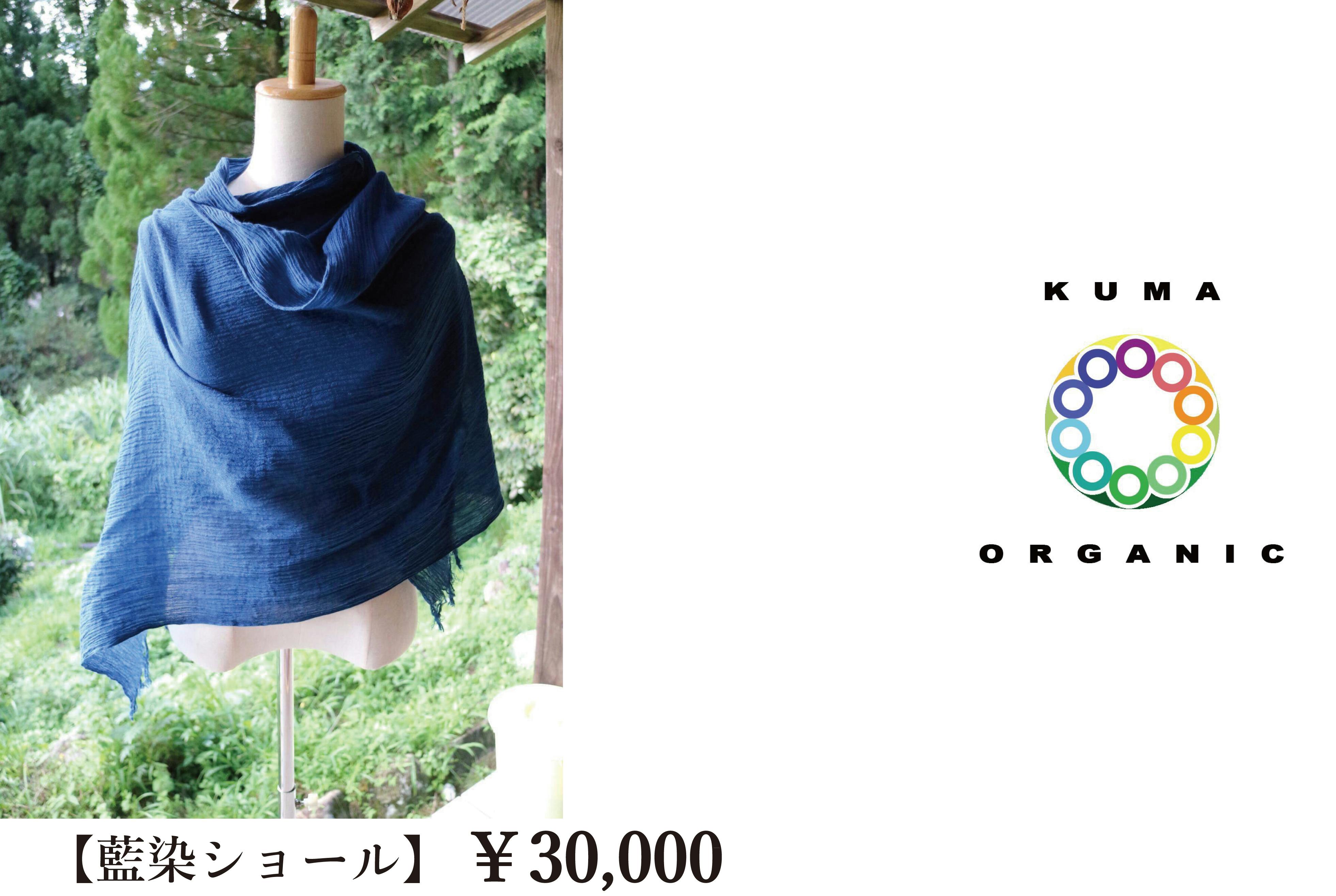 くまオーガニック祭りを成功させ人吉球磨をオーガニックビレッジとして盛りあげたい Campfire キャンプファイヤー くまオーガニック祭りを成功させ人吉球磨をオーガニックビレッジとして盛りあげたい Campfire キャンプファイヤー