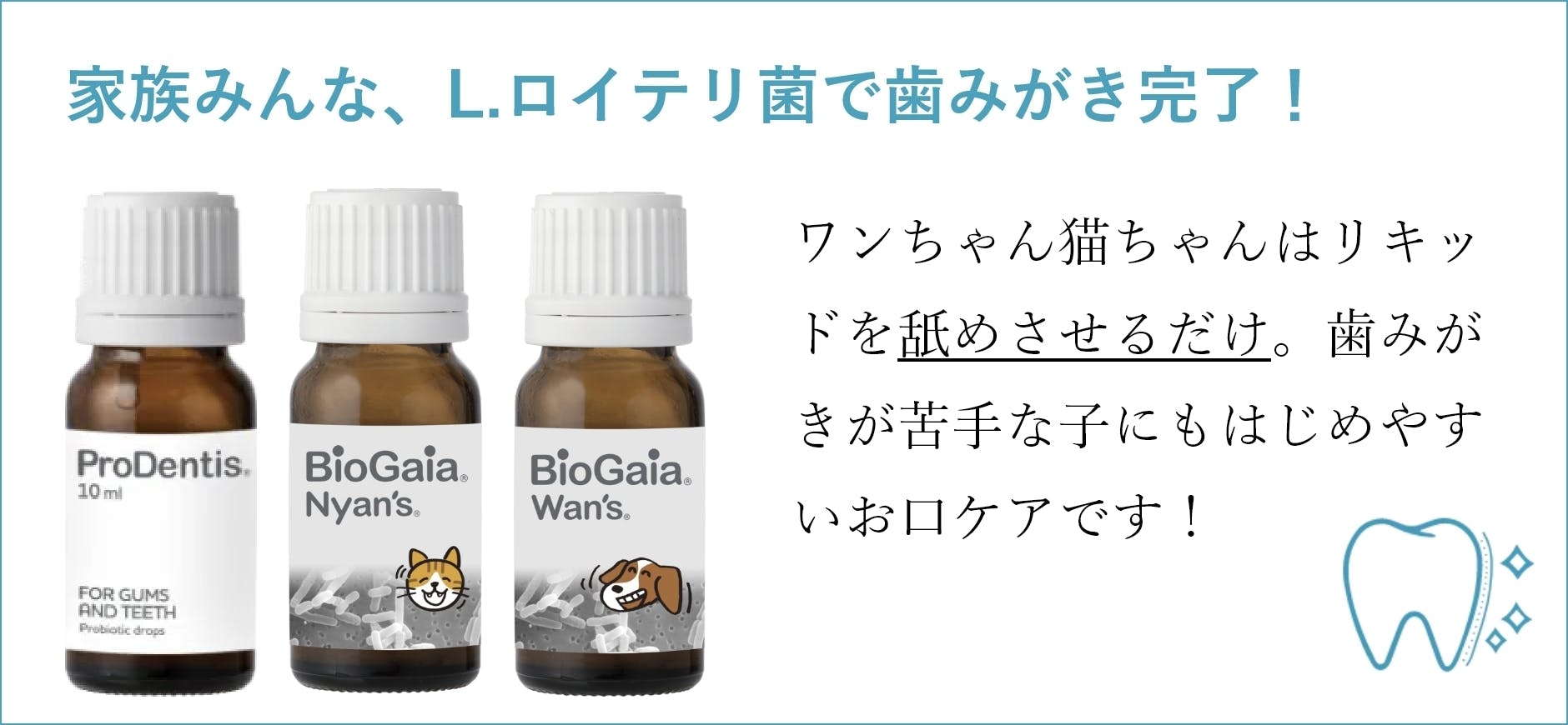 2本※【猫の虫歯歯周病予防】10mlロイテリ菌液タイプ - www.ariel.org.nz