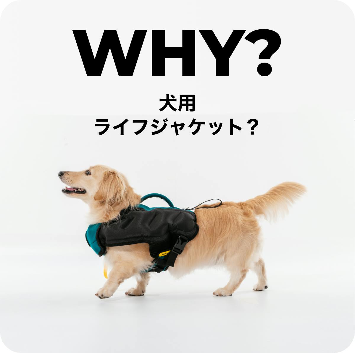 犬用ライフジャケットの革命。 圧倒的な浮力×デザイン×ポータビリティで実現。 - CAMPFIRE (キャンプファイヤー) 犬用ライフジャケットの革命。 圧倒的な浮力×デザイン×ポータビリティで実現。 - CAMPFIRE (キャンプファイヤー)