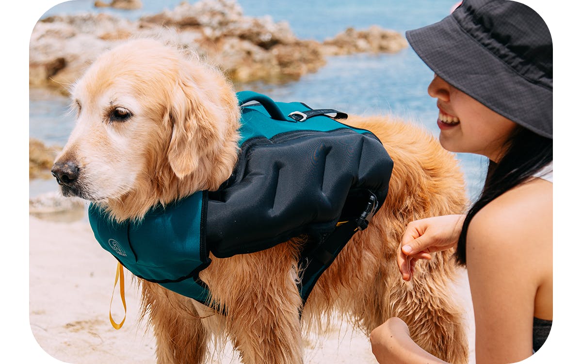 犬用ライフジャケットの革命 圧倒的な高浮力 Mサイズ Tailhigh あごのせ おしゃれ コンパクト テールハイ テールハイブランド デザイン フローティング ブランド ベスト ポータビリティ ライジャケ ライフジャケット 中型犬 可愛い 大型犬 小型犬 小型犬から大型犬まで