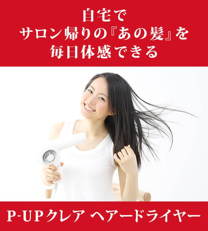 ☆フロンテ FRONTe ヘアドライヤー P-UP CREA hair dryer [ブラック]