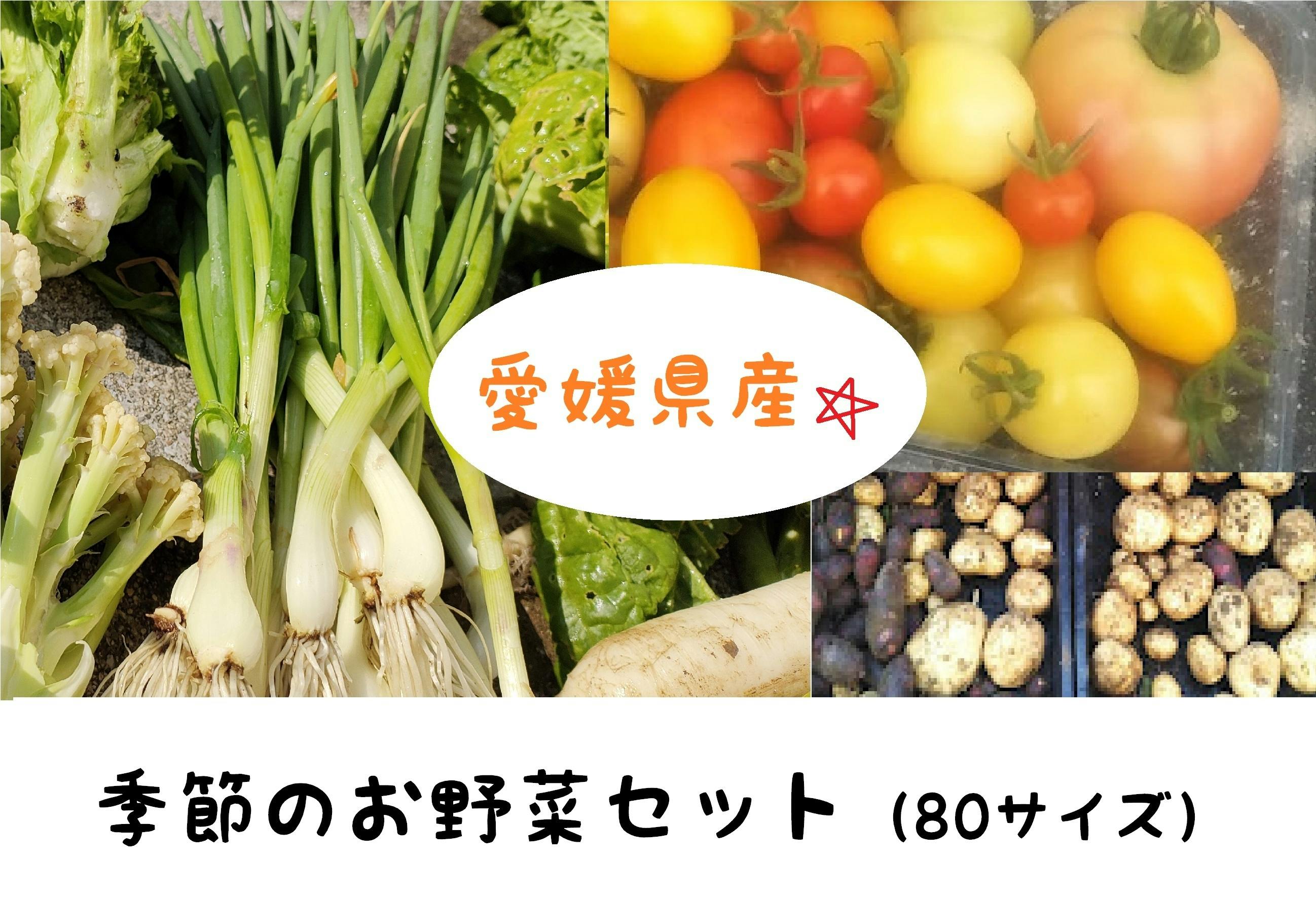 季節のお野菜詰め合わせ 80サイズ 愛媛県産 - 野菜