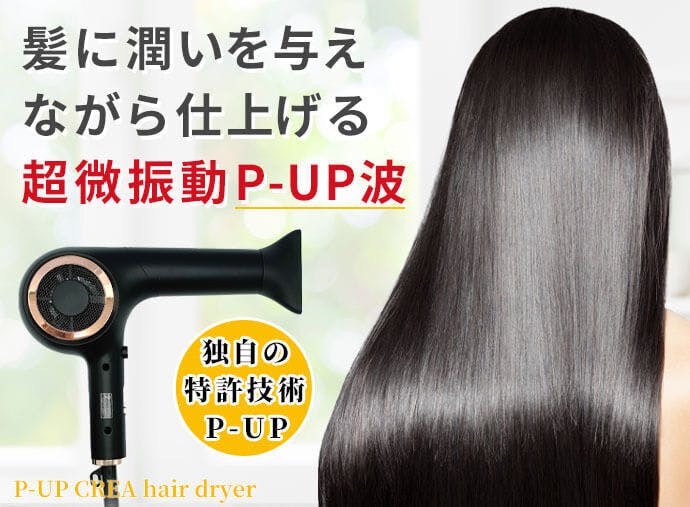 ☆フロンテ FRONTe ヘアドライヤー P-UP CREA hair dryer [ブラック]