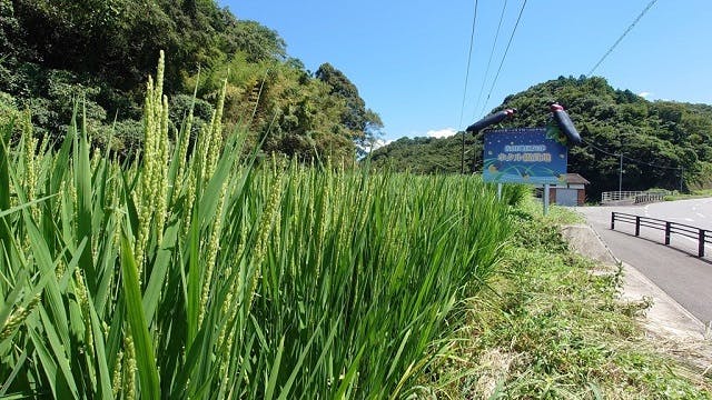 /data/project/829/佐田の郷イメージ1 - コピー.jpg