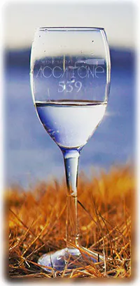 オリジナルロゴ入り・ワイングラス