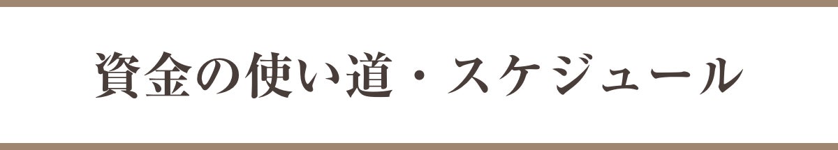 資金の使い道・スケジュール