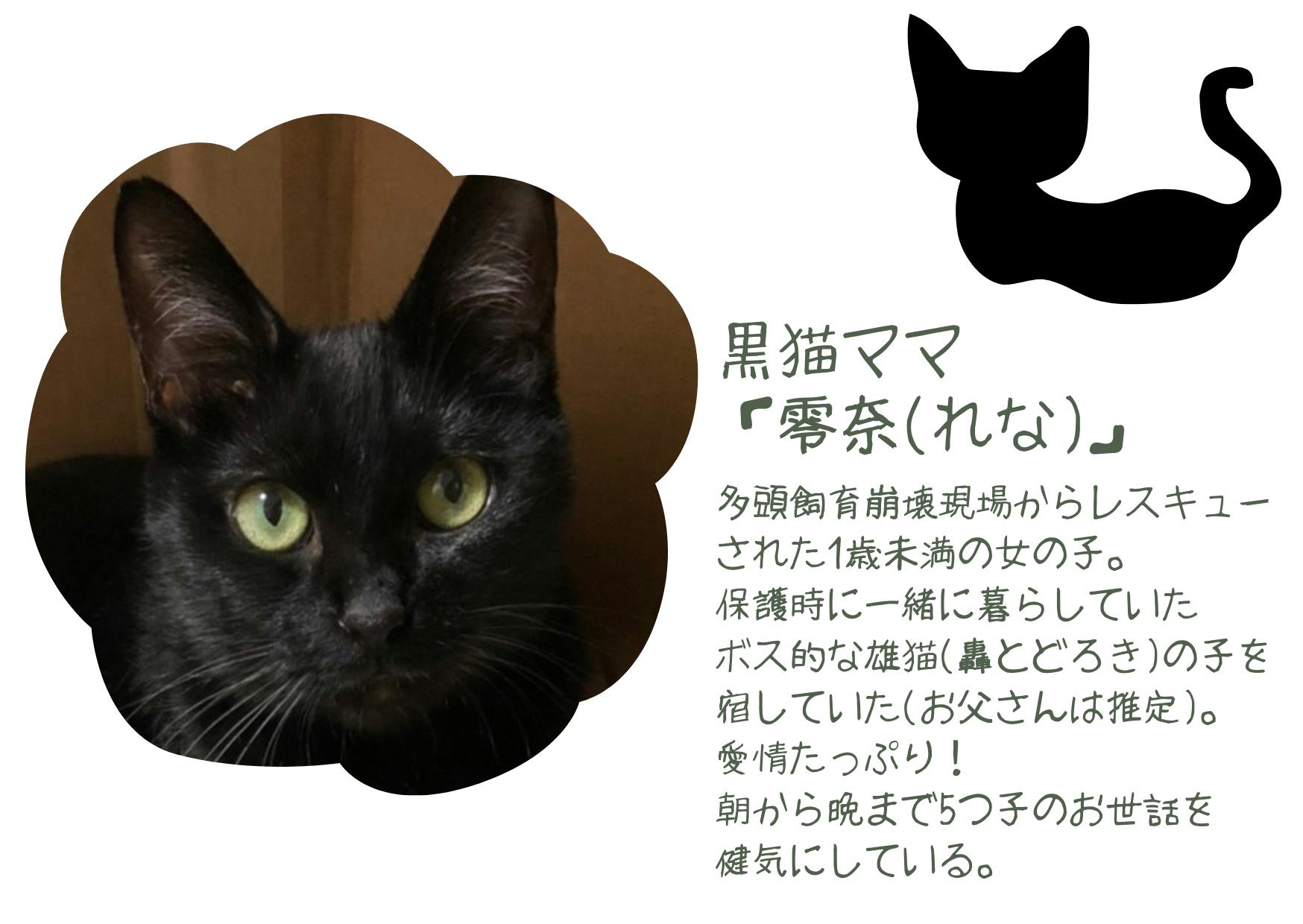 ねこまま様 ご確認です 売却 ねこまま様 ご確認です 売却