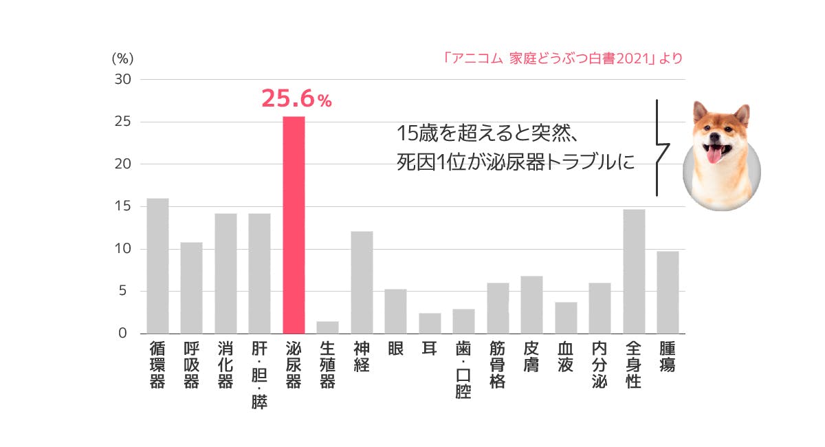 15歳犬の死亡原因