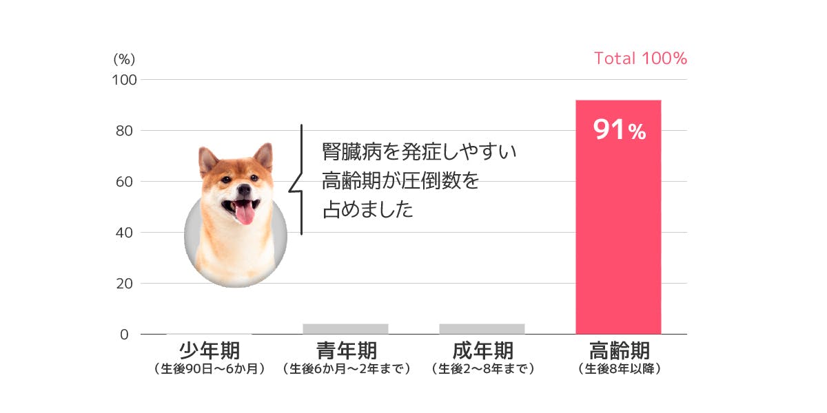 参加モニターのライフステージ