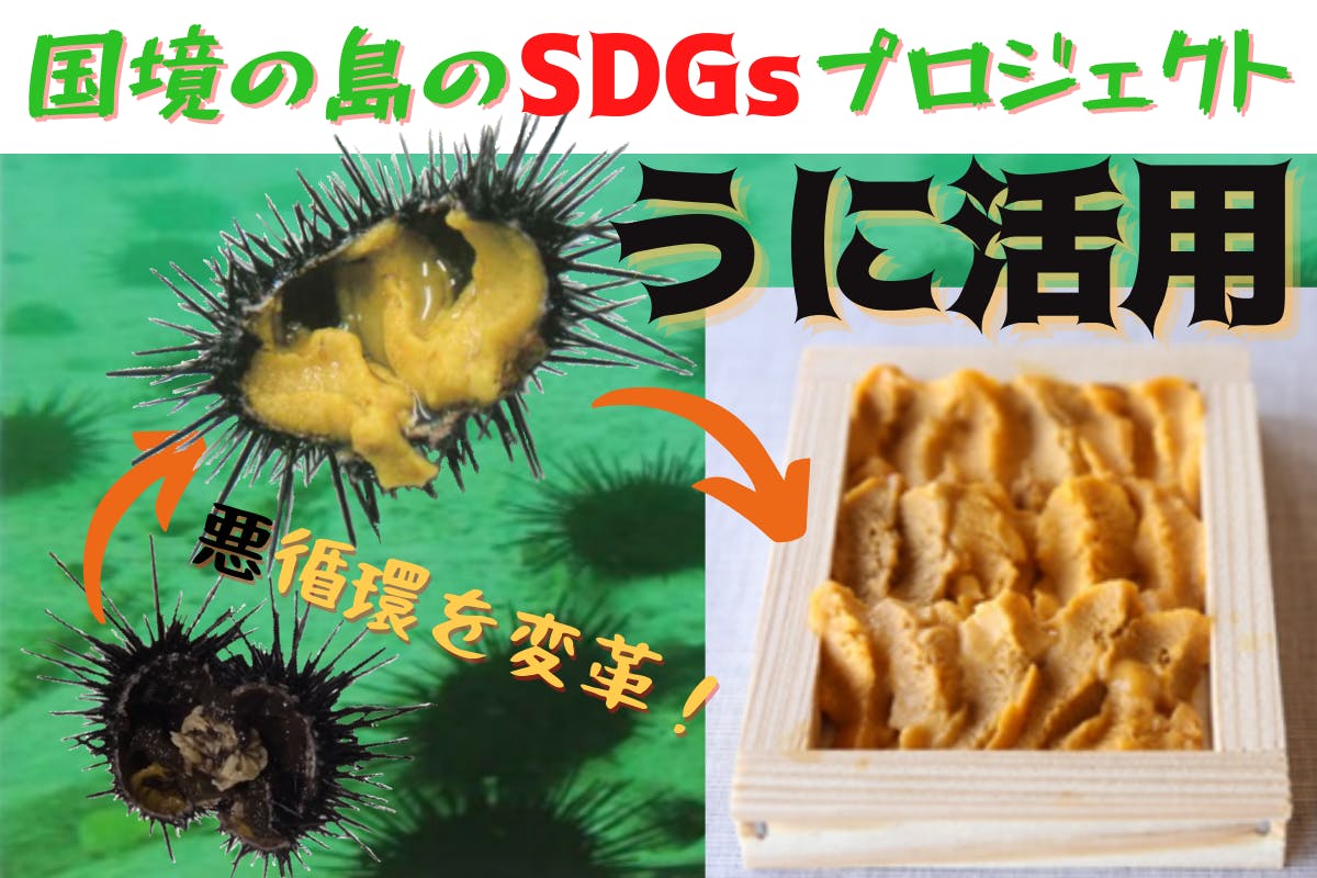 磯焼けウニでsdgs 国境の島 対馬で目指すwin Win循環 Campfire キャンプファイヤー 磯焼けウニでsdgs 国境の島 対馬で目指すwin Win循環 Campfire キャンプファイヤー
