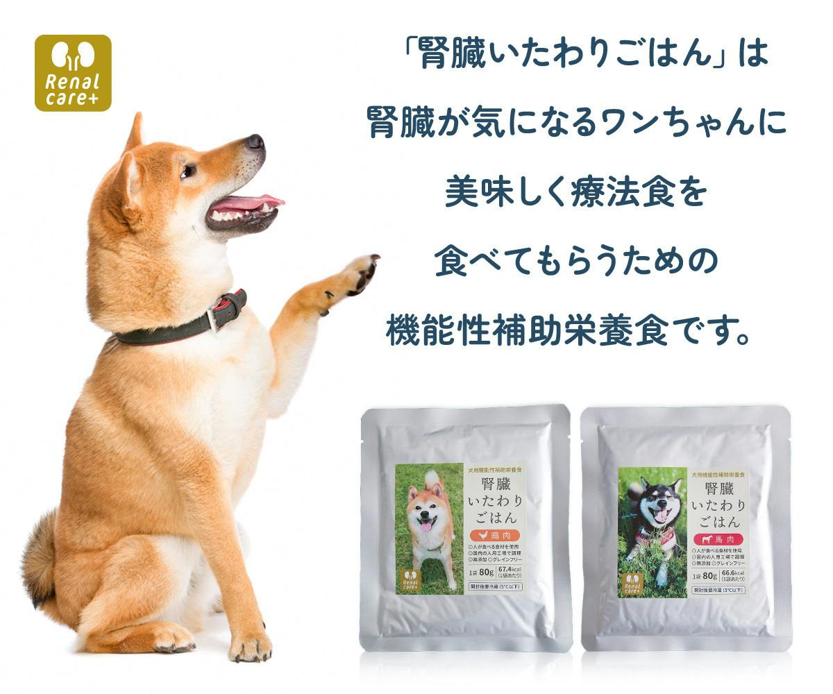 美味しい療法食をワンちゃんに 腎臓いたわりごはん 先行販売 Campfire キャンプファイヤー 美味しい療法食をワンちゃんに 腎臓いたわりごはん 先行販売 Campfire キャンプファイヤー
