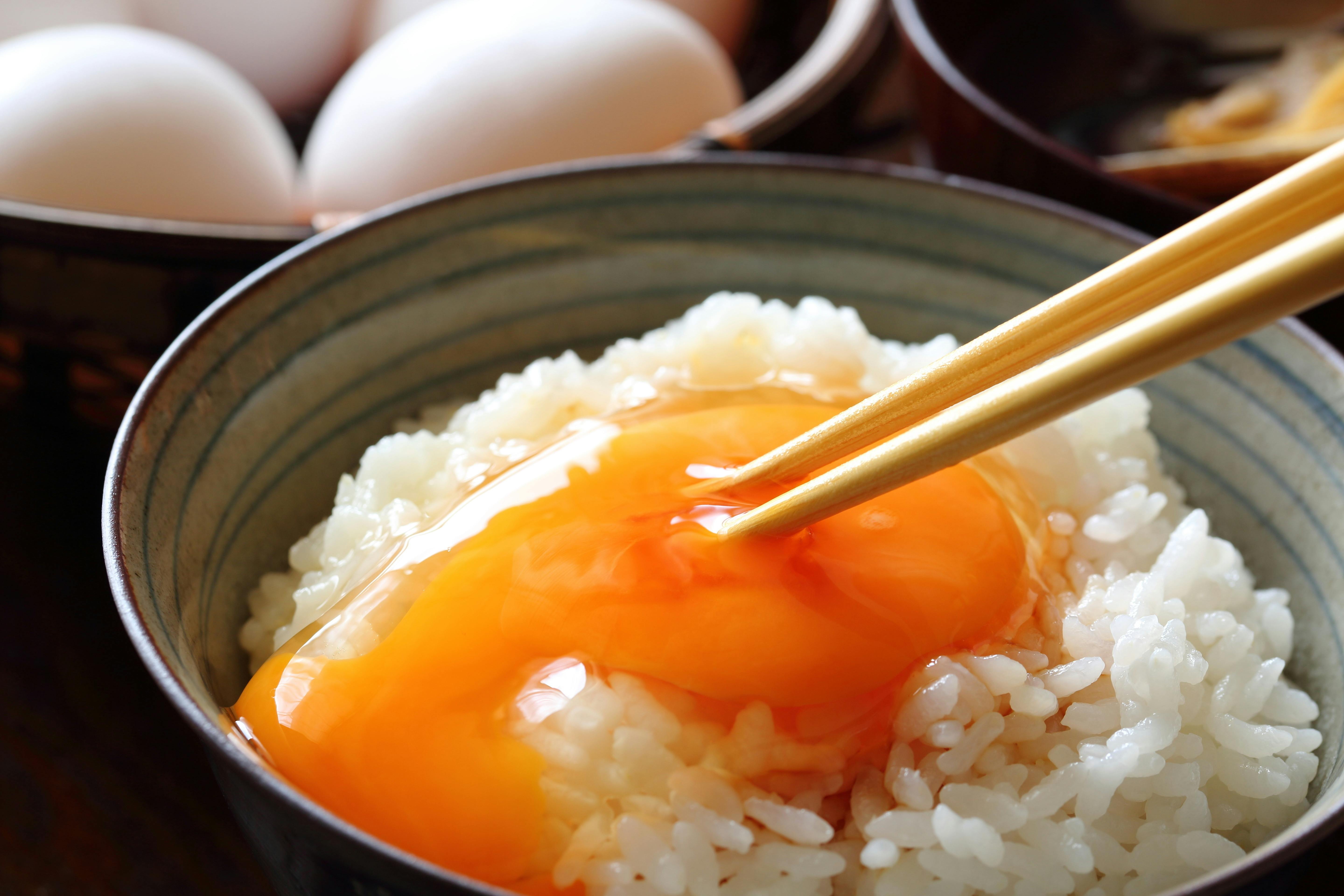 究極のTKGを食べよう！卵の新時代を作る『日本たまごかけごはん研究所』設立！ CAMPFIRE (キャンプファイヤー)