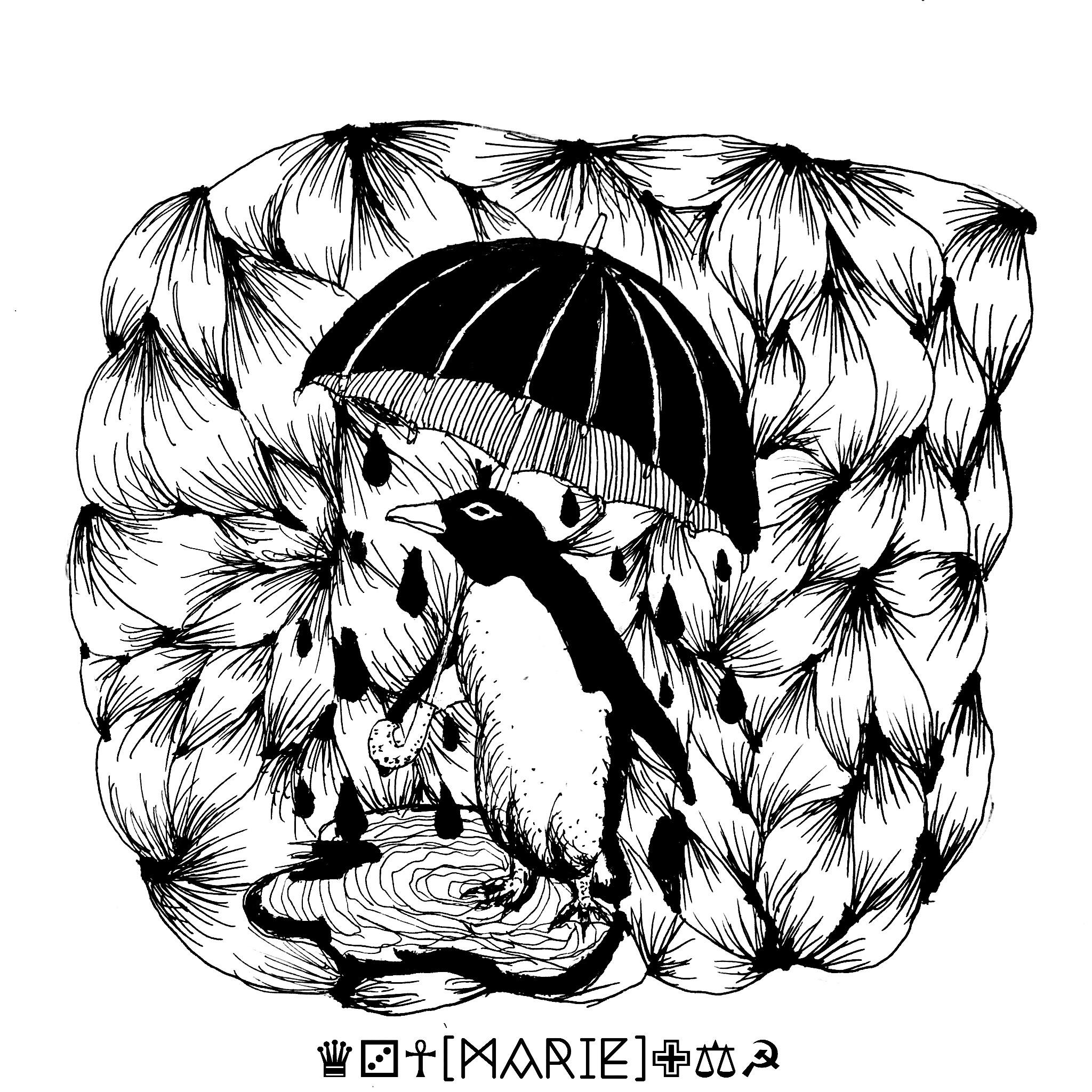 鞠絵 Marie 新曲 Entrance Mv制作 Campfire キャンプファイヤー 鞠絵 Marie 新曲 Entrance Mv制作 Campfire キャンプファイヤー
