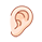 (ear)