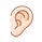 (ear)