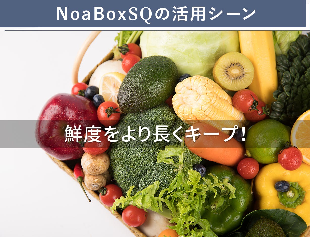 電池もポンプも不要！真空保存が更に簡単に、収納力もUP！【NoaBox SQ