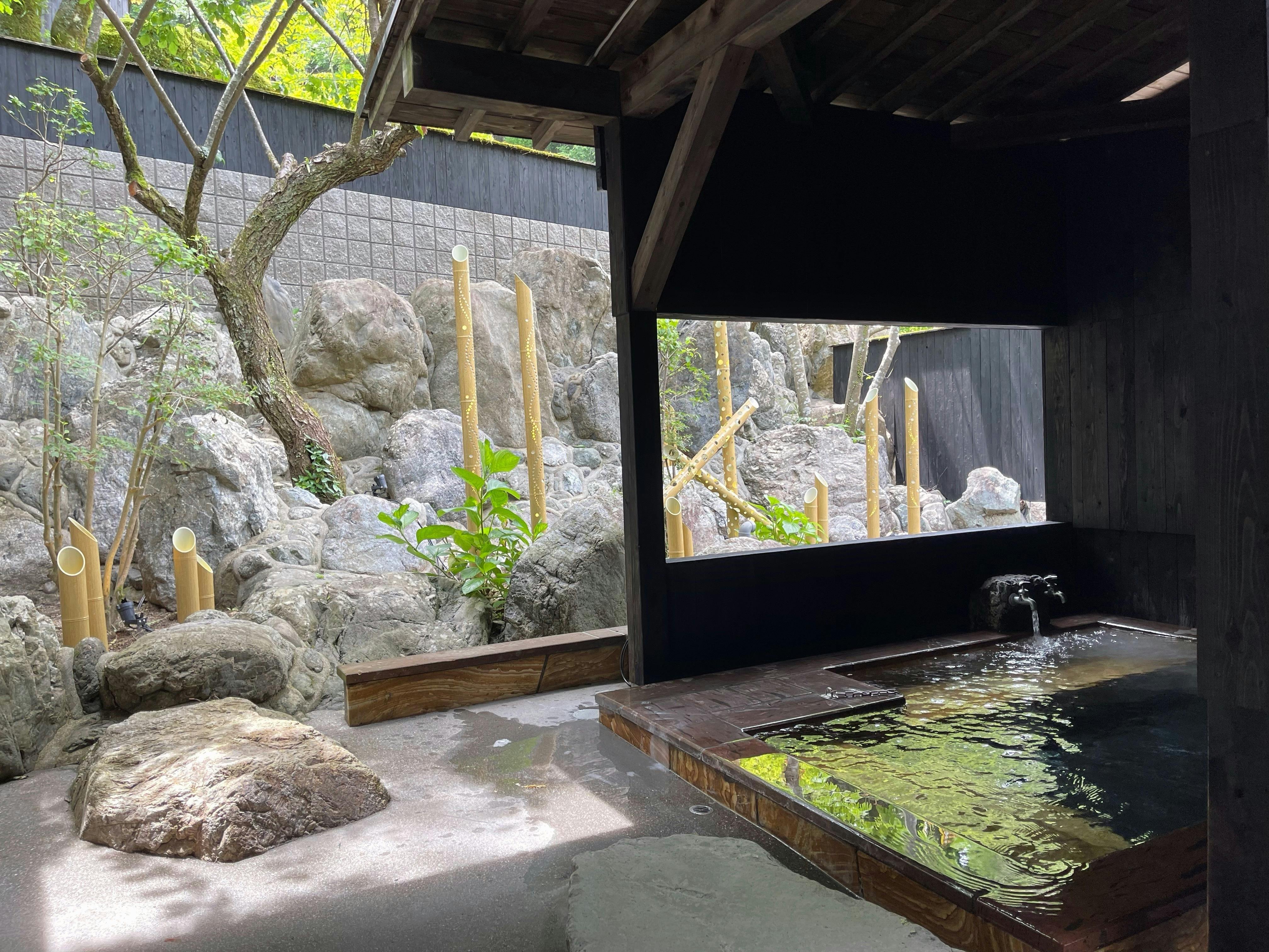 天然温泉 花咲の湯 HANASAKI SPA 大人一般入浴料割引 4枚 + パス