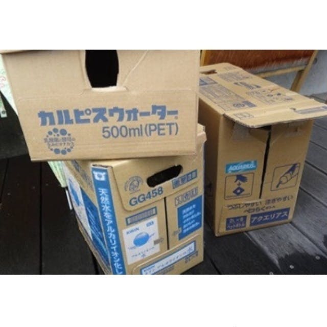 飼えない だけど協力したい そんな方の為に保護猫犬応援カフェを開業します Campfire キャンプファイヤー 飼えない だけど協力したい そんな方の為に保護猫犬応援カフェを開業します Campfire キャンプファイヤー