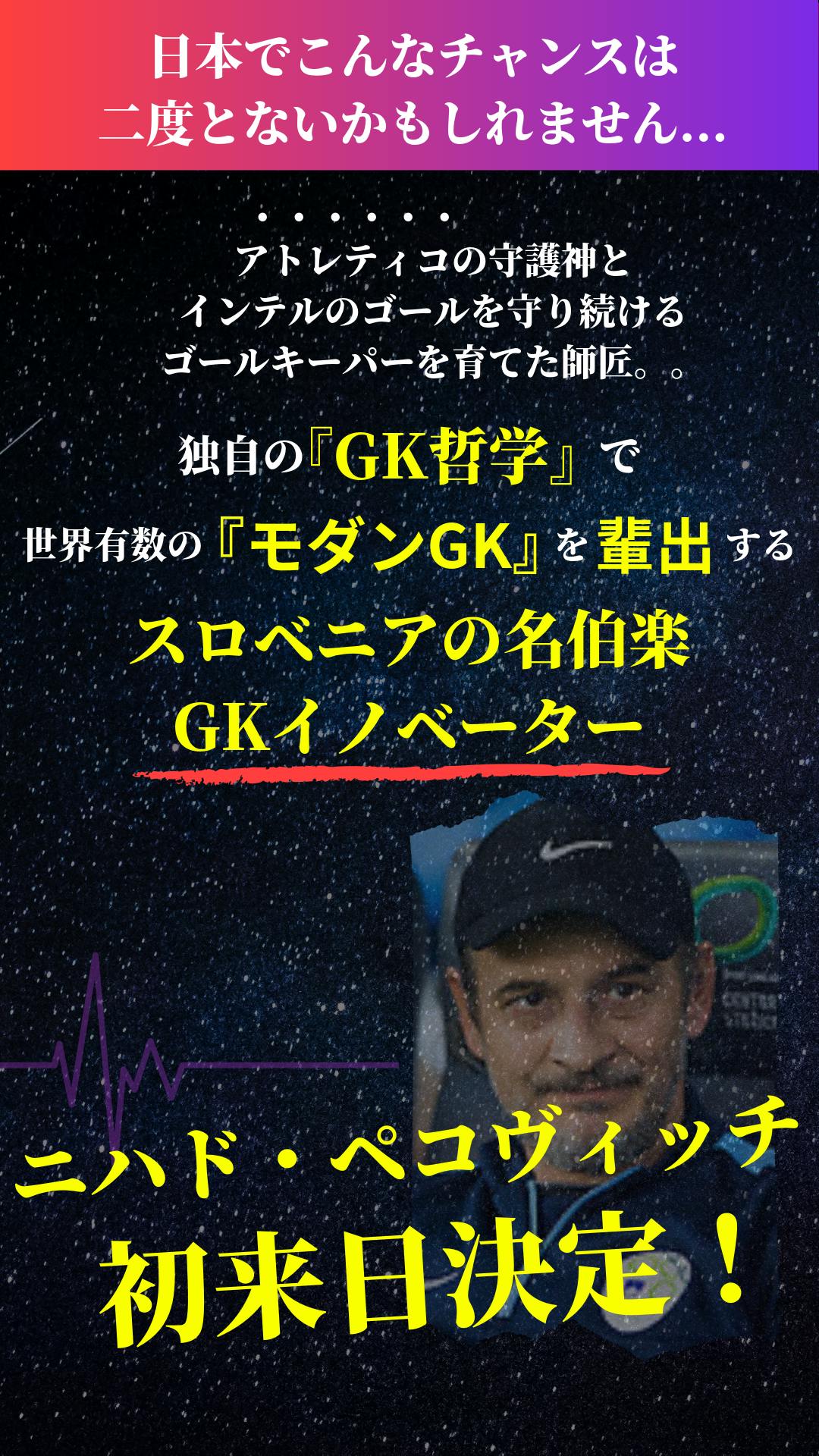 もうgk後進国とは言わせない 日本サッカーを変えるgkプロジェクトを開催したい Campfire キャンプファイヤー