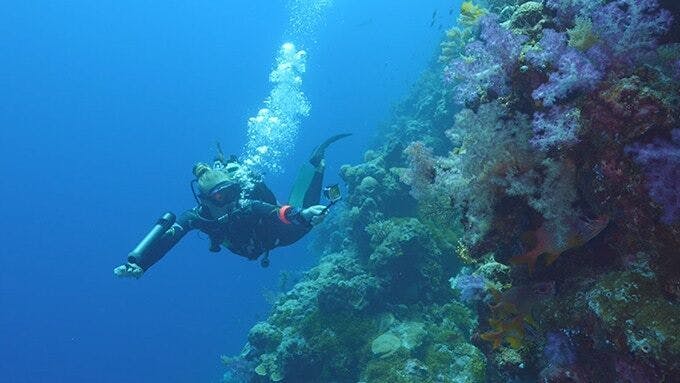 Subnado: 人魚気分になれる快適ポータブル 水中スマートスクーター