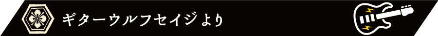 ギターウルフセイジより