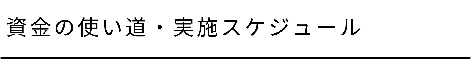 資金の使い道・実施スケジュール