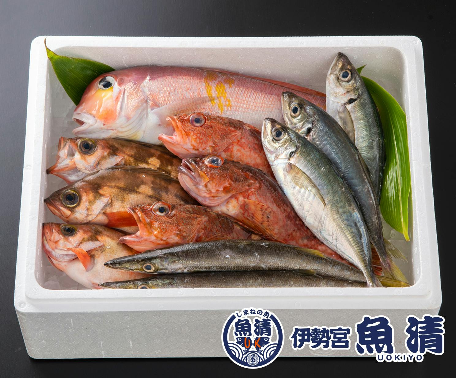 ⑯山陰のお魚番長厳選！お任せ天然鮮魚セット