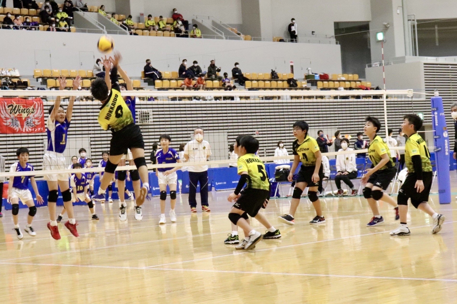 Safilva北海道ジュニアが全国大会へ！ 遠征費のご支援をお願い致します