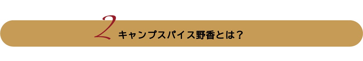 キャンプスパイス野香とは?