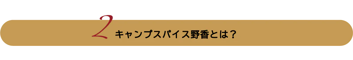 キャンプスパイス野香とは?