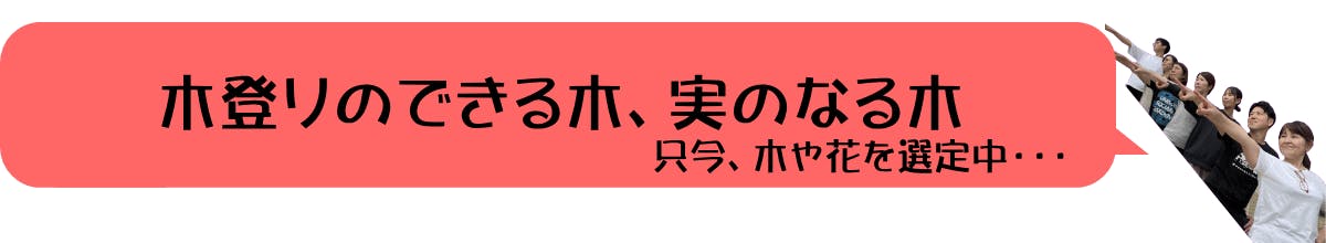 木登りできる木、実のなる木・・・只今、木や草花を選定中