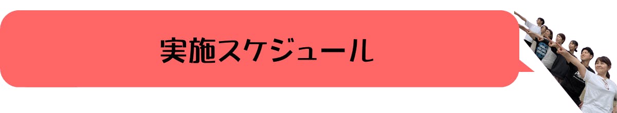 実施スケジュール