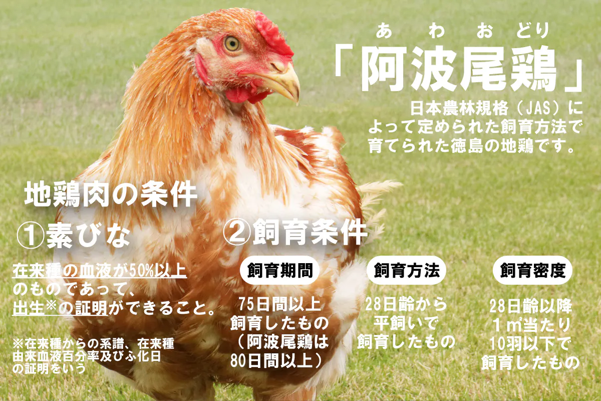 夏の肉祭り 徳島の地鶏 阿波尾鶏の美味しさをみんなに味わってもらいたい Campfire キャンプファイヤー 夏の肉祭り 徳島の地鶏 阿波尾鶏の美味しさをみんなに味わってもらいたい Campfire キャンプファイヤー