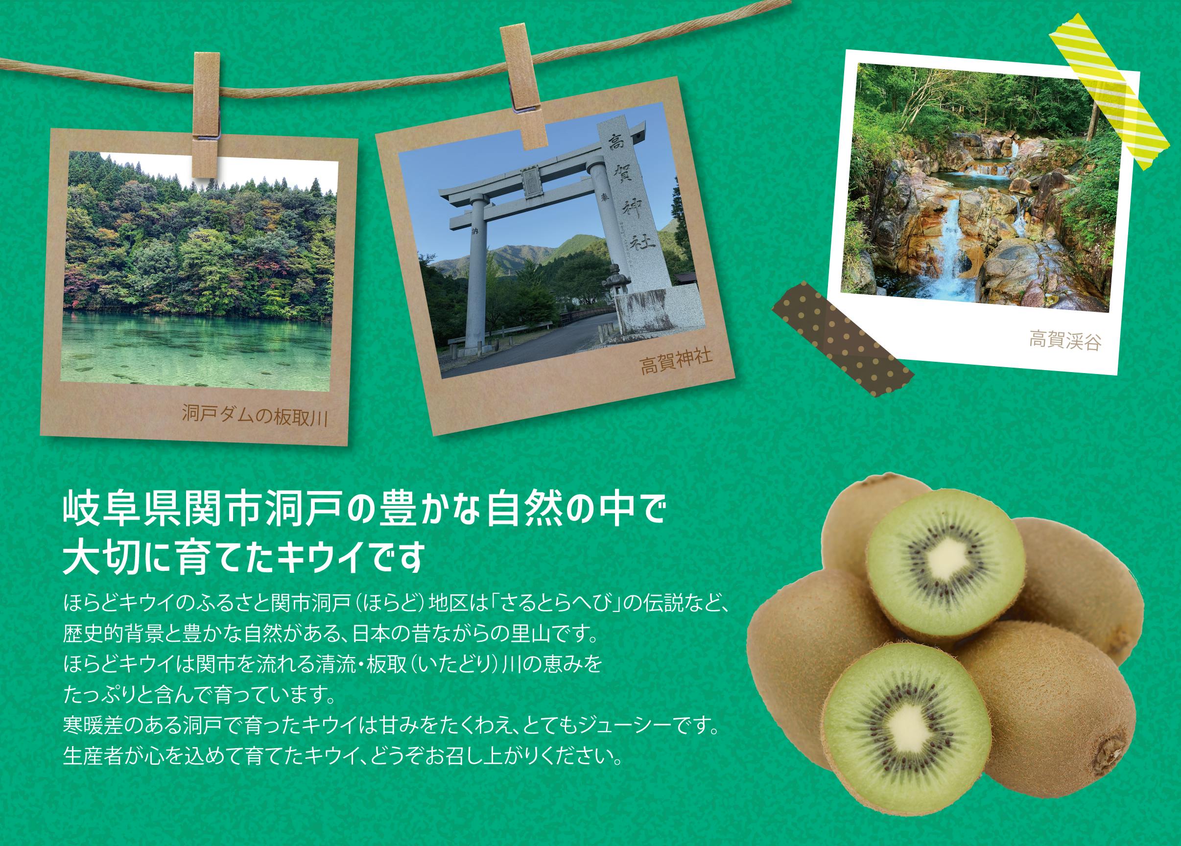 ほらどキウイを未来につなごうプロジェクト!山間地のキウイを残したい!2022ほらどキウイを未来につなごうプロジェクト!山間地のキウイを残したい!2022