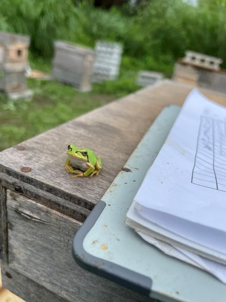 テーブル, 屋外, 草, 座る が含まれている画像
自動的に生成された説明