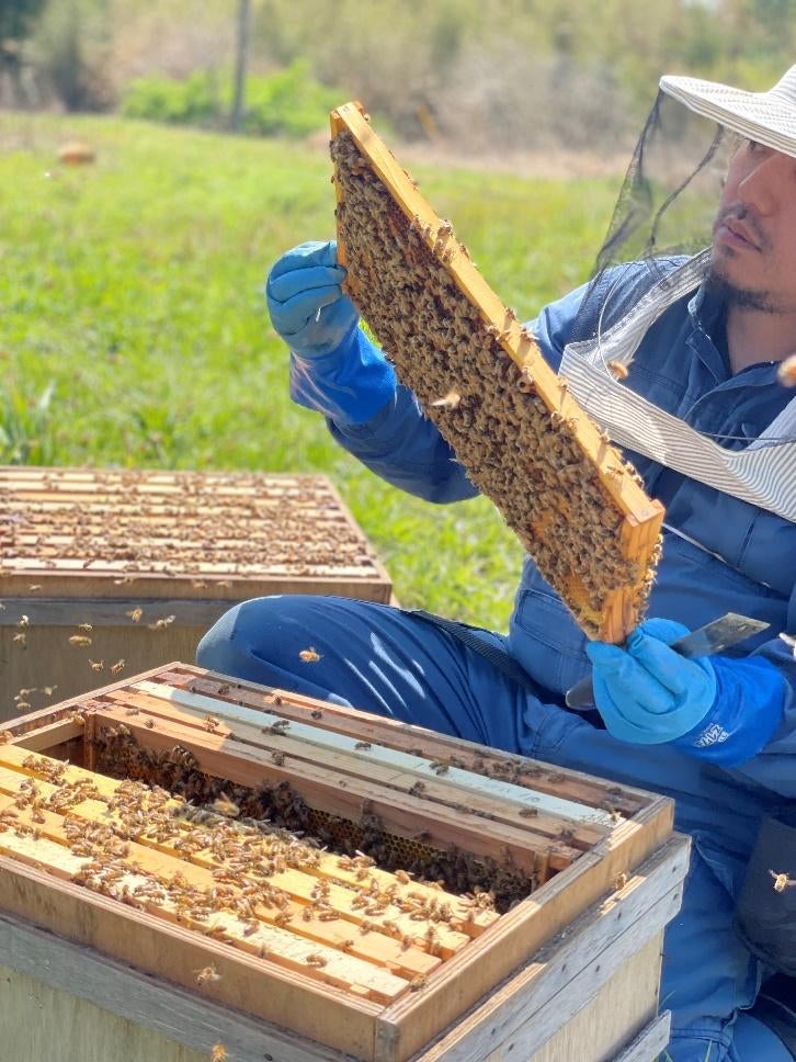 草, 屋外, 人, 男 が含まれている画像
自動的に生成された説明