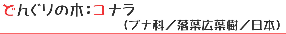 どんぐりの木：コナラ（ブナ科／落葉広葉樹／日本）