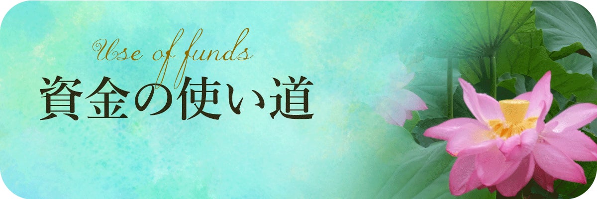 資金の使い道