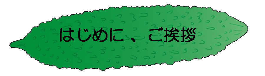子ども食堂のお友達にも世界で活躍できる英語の授業を無料で受けさせたい Campfire キャンプファイヤー 子ども食堂のお友達にも世界で活躍できる英語の授業を無料で受けさせたい Campfire キャンプファイヤー