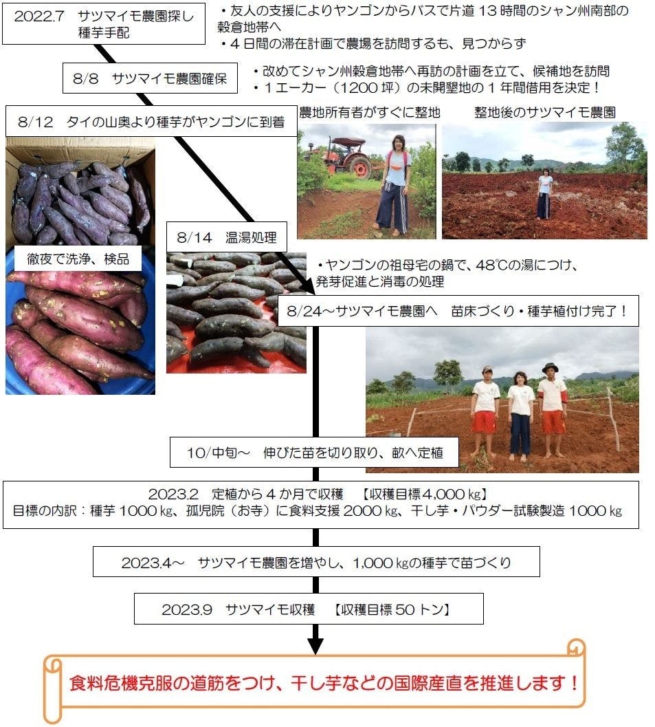 農薬不使用レモン 3 5.6収穫発送予定 有機肥料 国産 安全