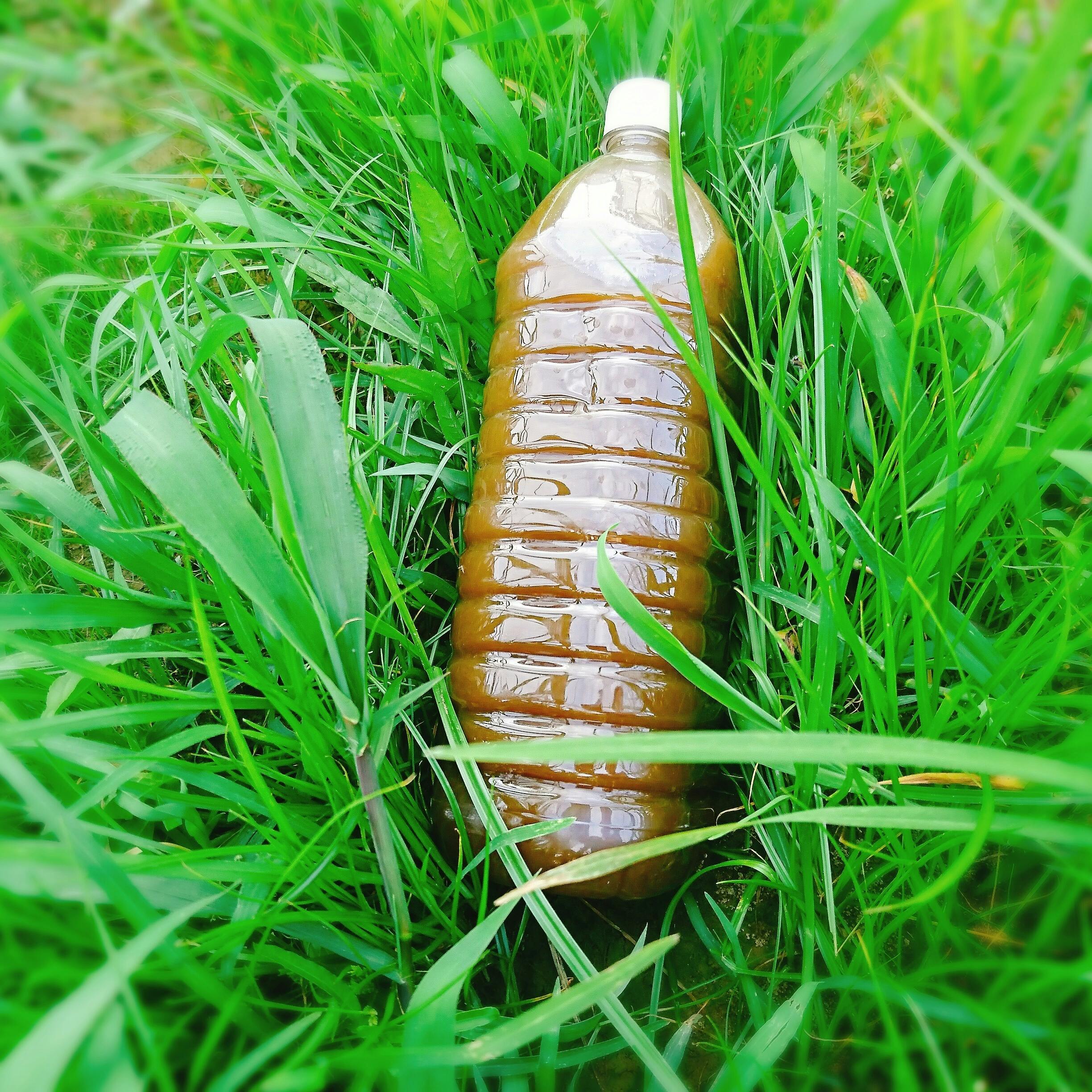 雑草から有用植物へ 雑草で作った植物活力剤 Campfire キャンプファイヤー 雑草から有用植物へ 雑草で作った植物活力剤 Campfire キャンプファイヤー